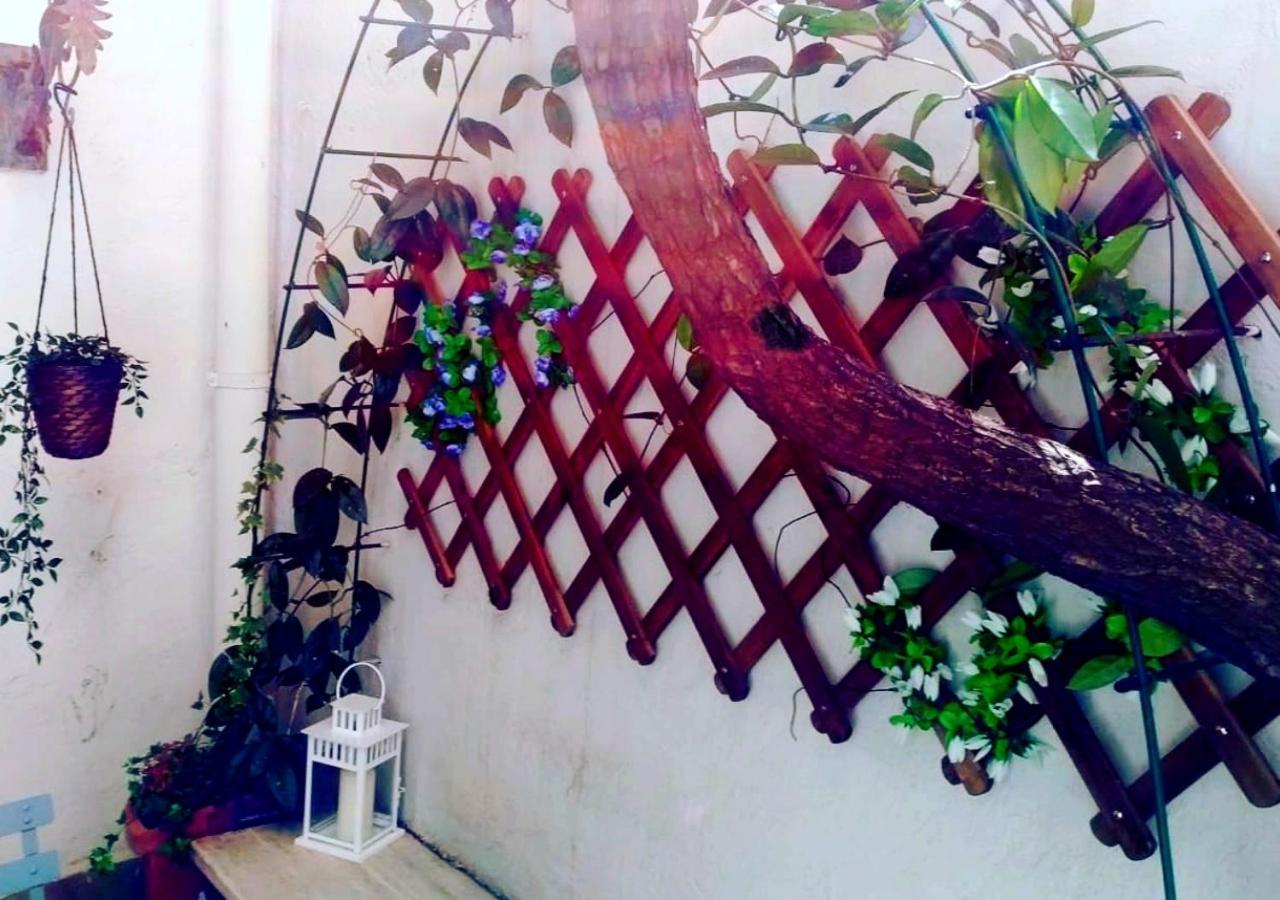 רומא Pied-A-Terre Domusuite Rhome Colosseo מראה חיצוני תמונה